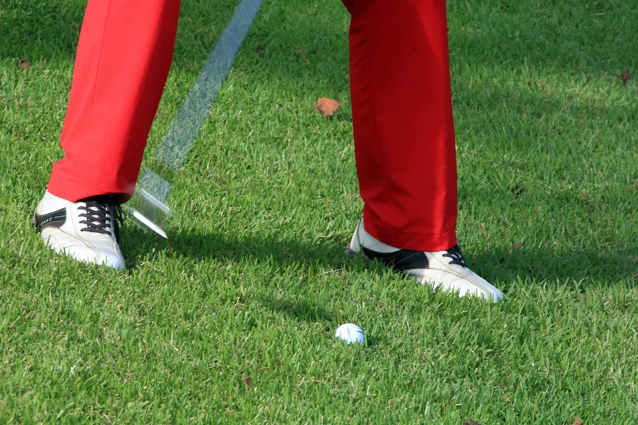 Sports image 2